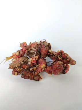 Temiz beyaz arka plana yerleştirilmiş taze toplanmış kırmızı galangal köklerinin yakın plan görüntüsü.