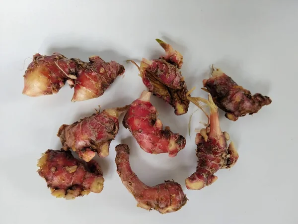 Temiz beyaz arka plana yerleştirilmiş taze toplanmış kırmızı galangal köklerinin yakın plan görüntüsü.