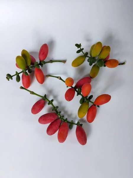 Temiz beyaz arkaplana yerleştirilmiş renkli tropikal meyve kümesinin yakın plan görüntüsü