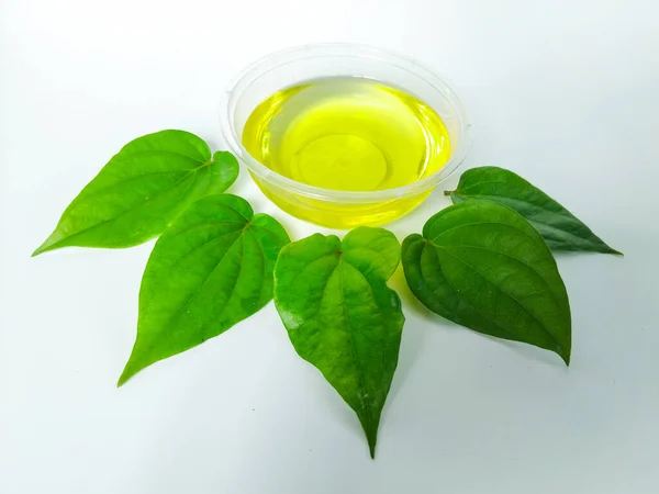 Parlak sarı yağla dolu, temiz beyaz arkaplanda dairesel desenli beş taze yeşil yaprakla çevrili şeffaf bir plastik kabın yukarıdan aşağı görüntüsü.