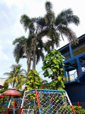 Uzun tropikal palmiye ağaçları ve yemyeşil bitkilerle çevrili renkli bir açık hava oyun alanı.