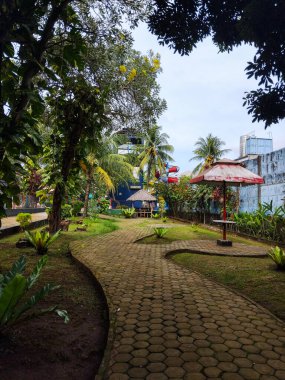 Etrafı yemyeşil bitkiler ve uzun palmiye ağaçlarıyla çevrili dolambaçlı, dolambaçlı, tropikal bir bahçe yolu.