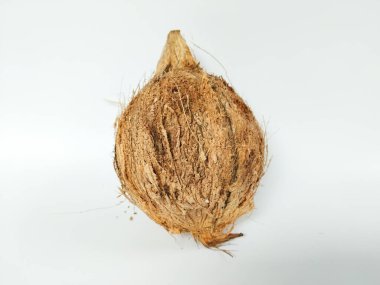 Bütün hindistan cevizi pürüzsüz, lifli kahverengi kabuğuyla temiz beyaz bir arka planda fotoğraflanmış.