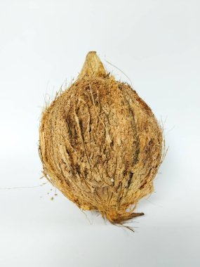 Bütün hindistan cevizi pürüzsüz, lifli kahverengi kabuğuyla temiz beyaz bir arka planda fotoğraflanmış.