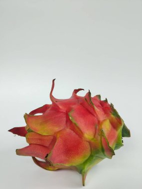 Canlı kırmızı derili ve yeşil uçlu olgun bir ejderha meyvesi temiz bir şekilde gösterilir.