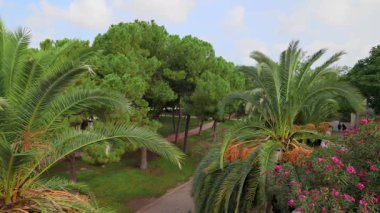 Turia Gardens 'ta palmiye ağaçları ve yürüyüş yolları. Valencia, İspanya - 27 Ağustos 2025.