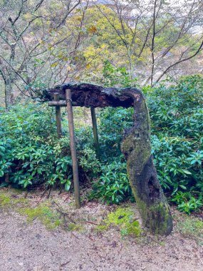 Yassı ağaç gövdesi, yeşil yapraklarla çevrili ahşap kirişlerle destekleniyor. Huzurlu Japon bahçesinde..
