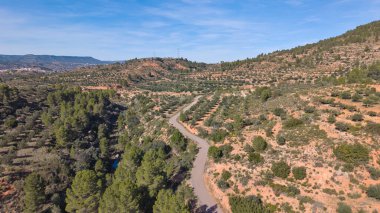 İspanya 'da açık mavi gökyüzünün altında Akdeniz tepeleri, çam ağaçları ve zeytin ağaçlarıyla çevrili dolambaçlı bir yolun havadan görünüşü.