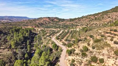 İspanya 'nın kırsal kesimindeki zeytin terasları ve Akdeniz tepeleriyle çevrili dolambaçlı bir yolda giden bir arabanın insansız hava aracı görüntüsü.