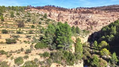 Havadan bakıldığında, orman yangınından sonra Akdeniz 'deki bir dağdaki yeşil çam ağaçları ile yanmış orman alanları arasındaki tezat görülüyor..