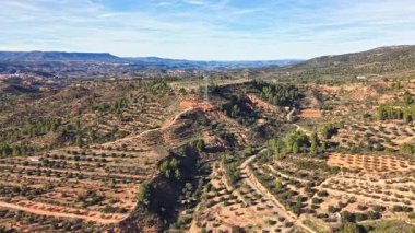 Açık mavi gökyüzünün altında zeytin ağaçları ve çam ağaçlarıyla kaplı Akdeniz tepelerinin havadan görünüşü. Teraslı yamaçlar ve dolambaçlı kırsal yol Valencia yakınlarındaki İspanyol kırsalının güzelliğini gösteriyor..