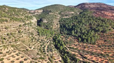 Açık mavi gökyüzünün altında zeytin ağaçları ve çam ağaçlarıyla kaplı Akdeniz tepelerinin havadan görünüşü. Teraslı yamaçlar ve dolambaçlı kırsal yol Valencia yakınlarındaki İspanyol kırsalının güzelliğini gösteriyor..