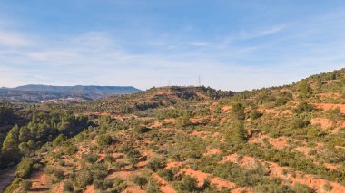 Açık mavi gökyüzünün altında zeytin ağaçları ve çam ağaçlarıyla kaplı Akdeniz tepelerinin havadan görünüşü. Teraslı yamaçlar ve dolambaçlı kırsal yol Valencia yakınlarındaki İspanyol kırsalının güzelliğini gösteriyor..