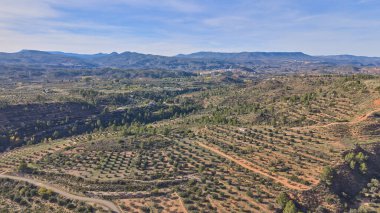 Açık mavi gökyüzünün altında zeytin ağaçları ve çam ağaçlarıyla kaplı Akdeniz tepelerinin havadan görünüşü. Teraslı yamaçlar ve dolambaçlı kırsal yol Valencia yakınlarındaki İspanyol kırsalının güzelliğini gösteriyor..