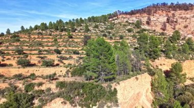 Havadan bakıldığında, orman yangınından sonra Akdeniz 'deki bir dağdaki yeşil çam ağaçları ile yanmış orman alanları arasındaki tezat görülüyor..