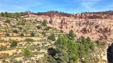 Havadan bakıldığında, orman yangınından sonra Akdeniz 'deki bir dağdaki yeşil çam ağaçları ile yanmış orman alanları arasındaki tezat görülüyor..