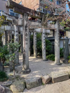 Ağaçlarla çevrili antik bir Shinto tapınağında Japon yazıtları bulunan geleneksel taş gövde kapılarının yolu. Fukuoka, Japonya - 2 Kasım 2025.