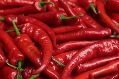 Pırıl pırıl derilerini ve canlı kırmızı renklerini gösteren taze kırmızı biberlerin (capsicum) yakın plan görüntüsü. Görüntü tazeliği vurgular.