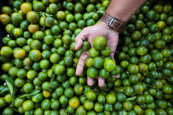Birkaç meyveyi tutan taze yeşil limonların yakın plan görüntüsü. Canlı yeşil renk ve doğal doku narenciyenin tazeliğini ve tropikal cazibesini vurgular..