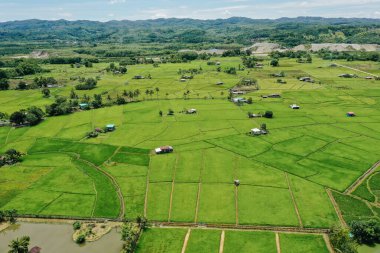 Tepeler ve küçük köy evleriyle çevrili kırsal bir vadi boyunca uzanan parlak yeşil çeltik tarlalarının manzarası..