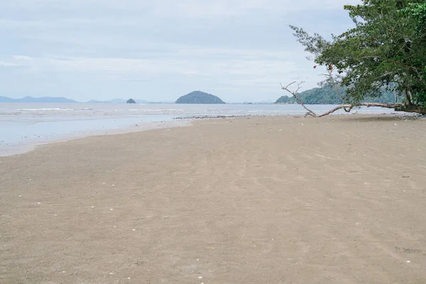 Yumuşak deniz dalgaları, kumlu kıyı şeridi ve bulutlu bir gökyüzünün altındaki uzak bir ormanlık adanın geniş manzarası..