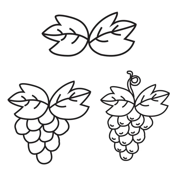 Üzüm, yaprak ve dallar seti, vektör çizimi, özet
