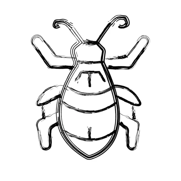 Bal peteği vektör illüstrasyon tasarımlı arı balı