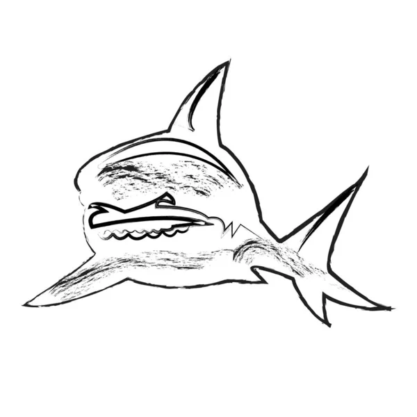 Bir köpekbalığının vektör çizimi
