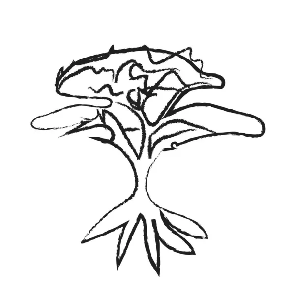 El çizimi gül çiçeği. Beyaz arkaplanda izole edilmiş vektör illüstrasyonu.