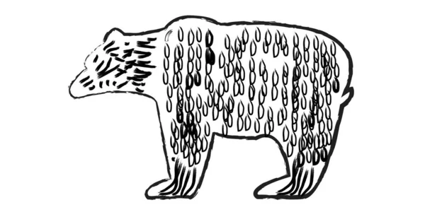 Beyaz arka planda izole edilmiş ayı çizimi