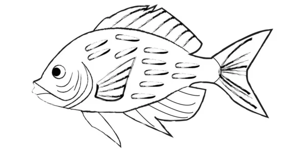 balık vektör çizimi, renklendirme sayfası