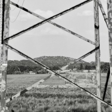 Kırsal kesimde maaş ve beyaz şarap. Jouars-Pontchartrain, Yvelines, Fransa