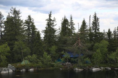 Sakin sulardaki çam ağaçlarının yansımalarıyla kayalık orman gölü