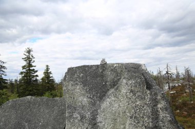 Yazın bulutlu gökyüzünün altında uçsuz bucaksız kozalaklı orman.