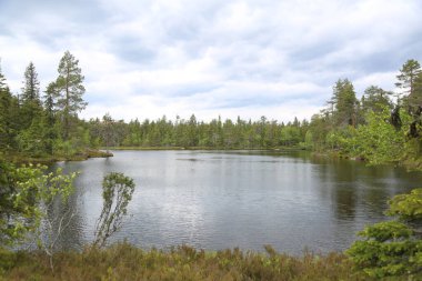Sakin sulardaki çam ağaçlarının yansımalarıyla kayalık orman gölü