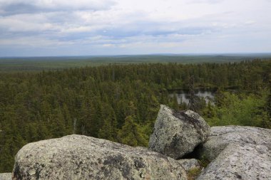 Yazın bulutlu gökyüzünün altında uçsuz bucaksız kozalaklı orman.