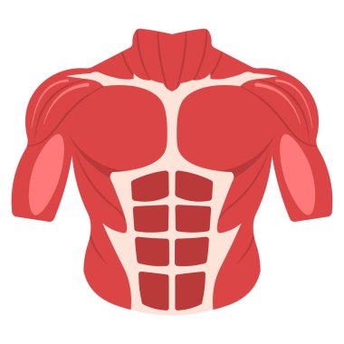 güçlü vücut geliştirici kas çizgi film simgesi