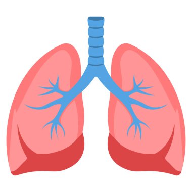 akciğer simgesi vektör illüstrasyonu