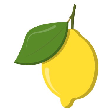 Beyaz arka planda limon meyvesi. vektör illüstrasyonu