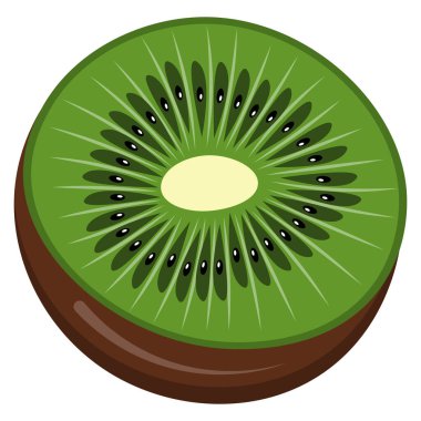 kivi meyve vektör çizim.
