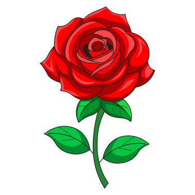 Beyaz arka plan üzerinde izole vektör kırmızı gül.