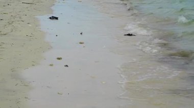 Kumlu bir sahilde deniz dalgası. Sakin okyanus suyu dalgaları kumlu sahile vuruyor. Kumsal kıran deniz dalgalarını kapatın. Doğa seyahati.