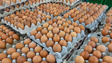 Tüketici aldıktan sonra süpermarkette sergilenen içi boş yumurta dolu kahverengi kağıt paket. Tavuk yumurtaları yerel süpermarkette satılmak üzere paketlenmiş kahverengi kağıdın üzerinde düzgünce düzenlenmiş..