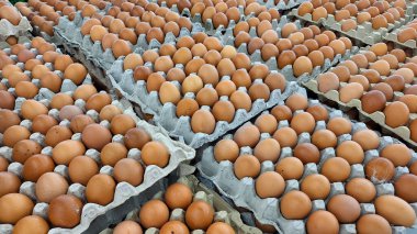 Tüketici aldıktan sonra süpermarkette sergilenen içi boş yumurta dolu kahverengi kağıt paket. Tavuk yumurtaları yerel süpermarkette satılmak üzere paketlenmiş kahverengi kağıdın üzerinde düzgünce düzenlenmiş..