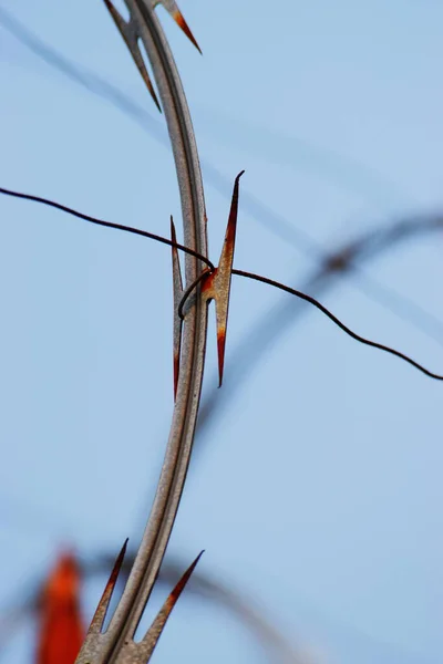 Paslı dikenli telleri kapat
