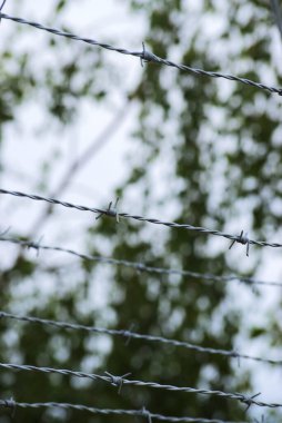 Dikenli tel örgüler.