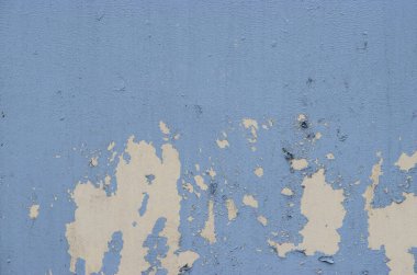 mavi boya duvar üzerinde peeling