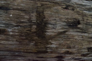 nemli günlükte kum