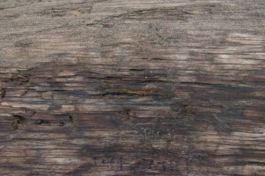 nemli günlükte kum