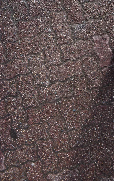 Güneş ışığı desenli kaldırım taşları